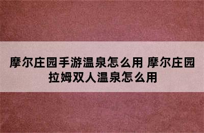 摩尔庄园手游温泉怎么用 摩尔庄园拉姆双人温泉怎么用